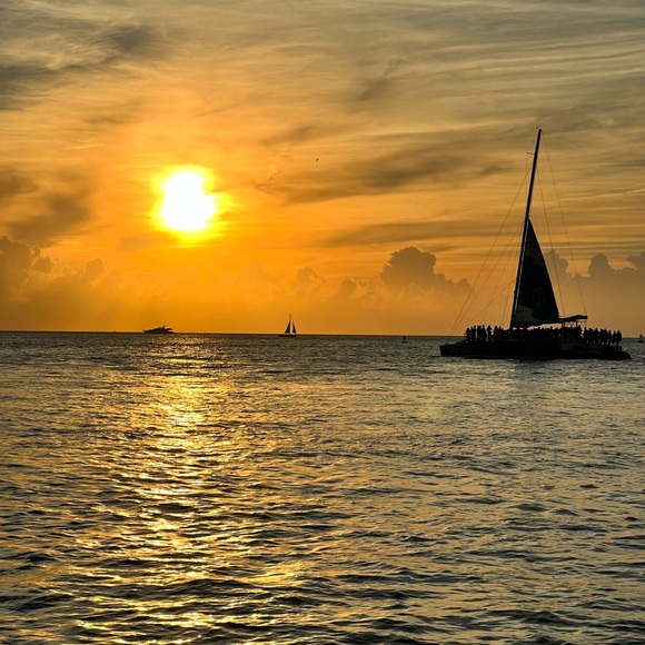 Meet your Posher, Renee - Picture 6 of 6